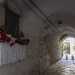 Corte San Triggiano: l'entrata  costituita da un omonimo arco in cui balza all'occhio una graziosa edicola dedicata a San Nicola, colma di fiori variopinti...